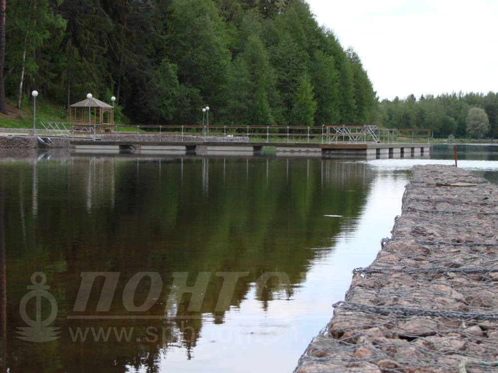 Пансионат зеленый бор луга. Зеленый Бор дамба Луга.